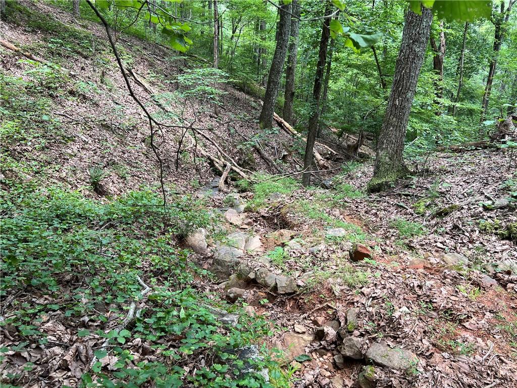 0 Lavender Trail Rome, GA 30165 - Photo 31 of 42 a view of a yard with plants and trees
