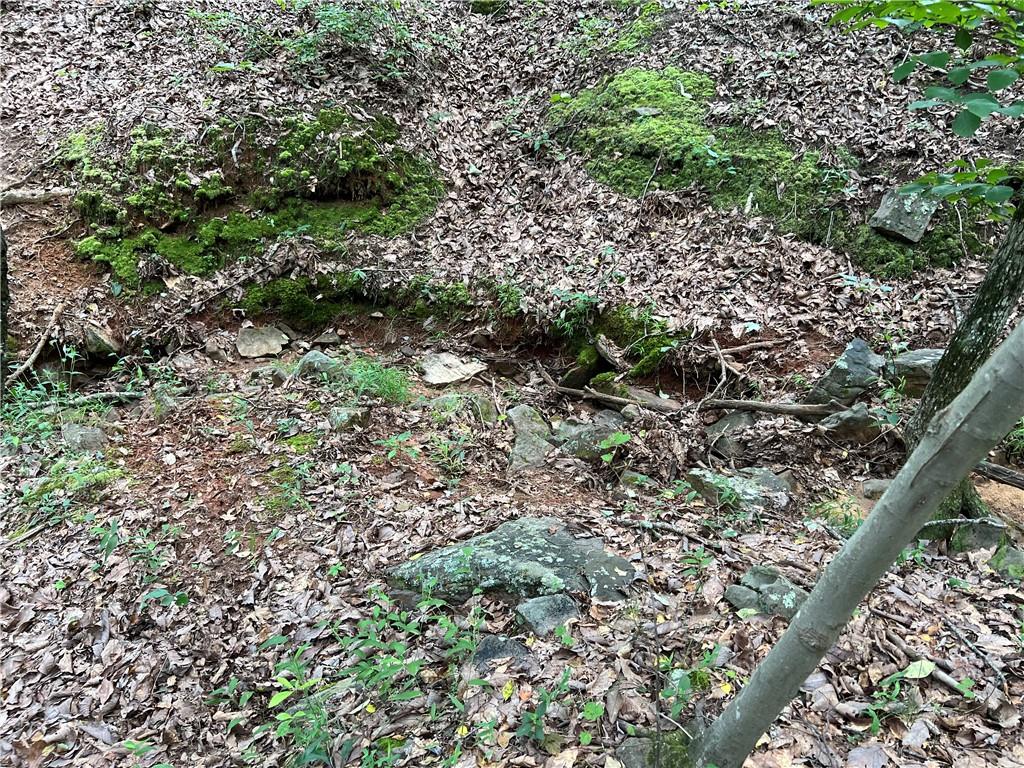 0 Lavender Trail Rome, GA 30165 - Photo 32 of 42 a view of a garden with a plant