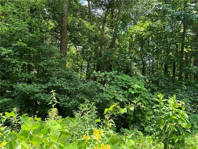 a view of backyard with swimming pool and trees