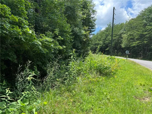 a view of a lush green space