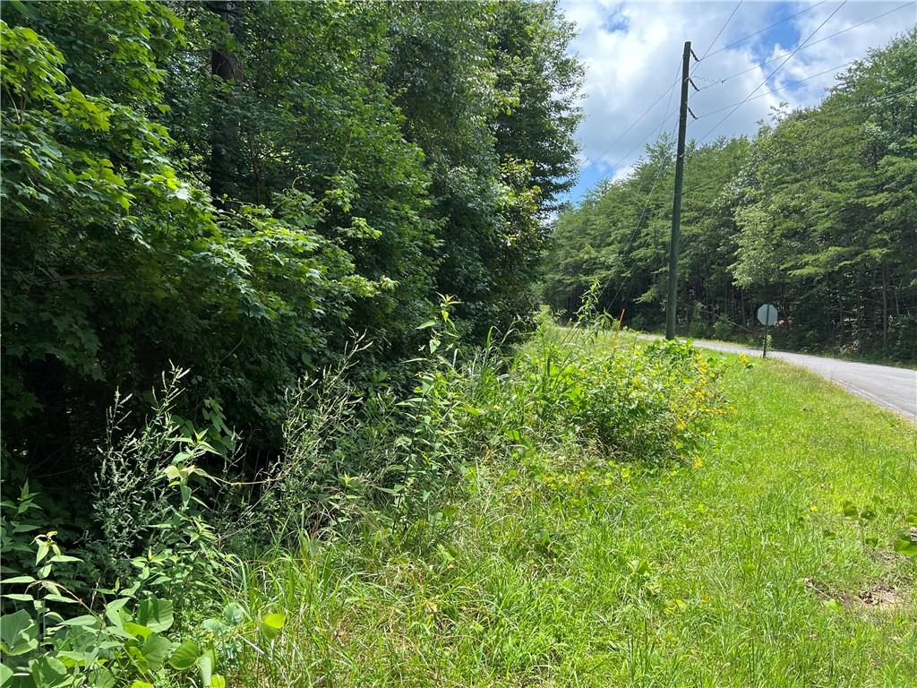 0 Lavender Trail Rome, GA 30165 - Photo 37 of 42 a backyard of a house with lots of green space