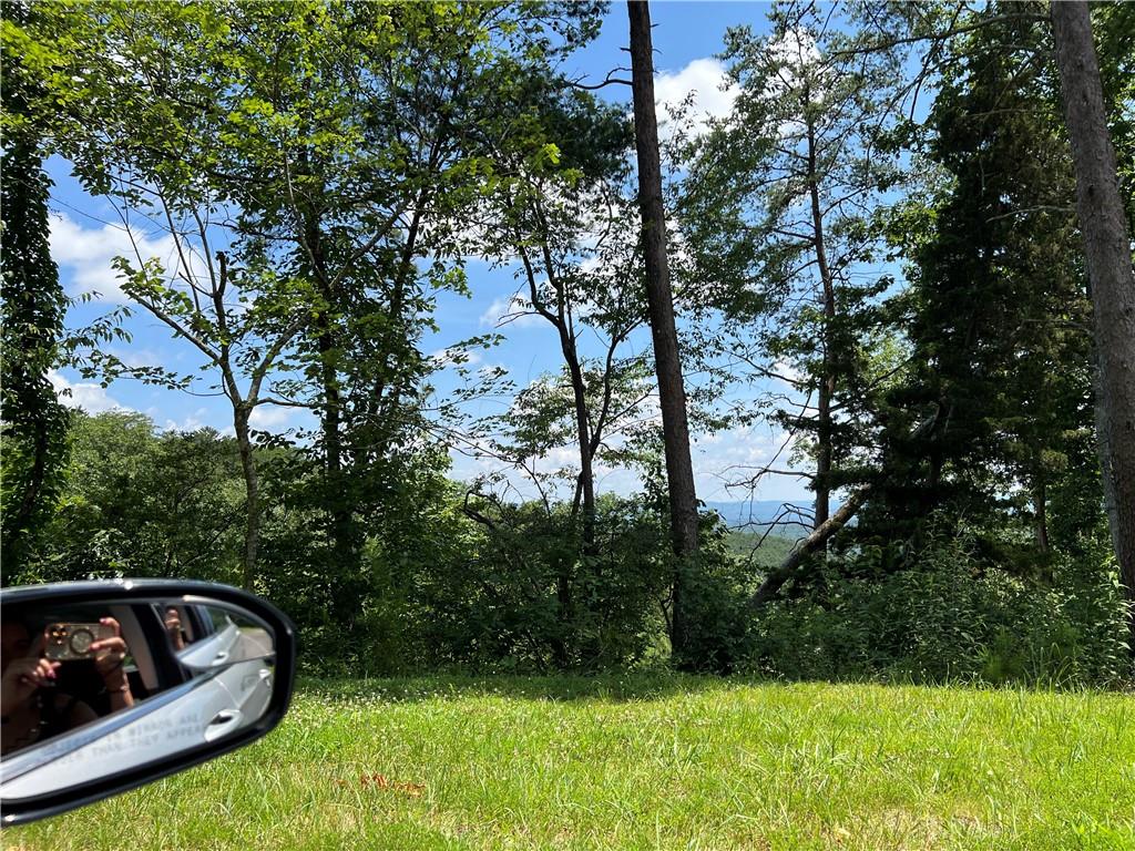 0 Lavender Trail Rome, GA 30165 - Photo 38 of 42 a view of backyard with swimming pool and trees