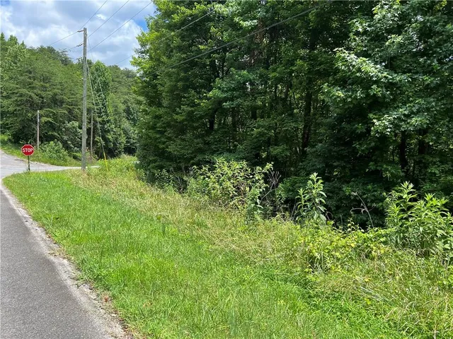 a view of a yard with plants and a tree