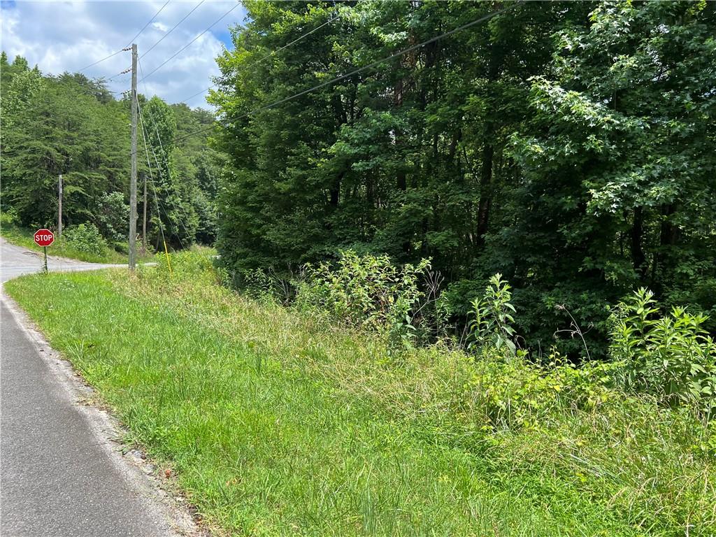 0 Lavender Trail Rome, GA 30165 - Photo 39 of 42 a view of a lush green space