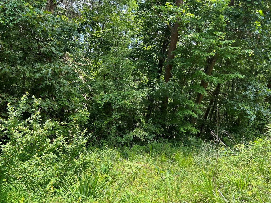 0 Lavender Trail Rome, GA 30165 - Photo 40 of 42 a view of a lush green forest
