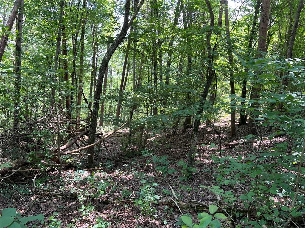 0 Lavender Trail Rome, GA 30165 - Photo 4 of 42 a view of forest