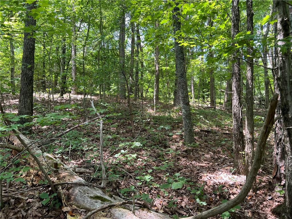 0 Lavender Trail Rome, GA 30165 - Photo 7 of 42 a view of outdoor space and green space