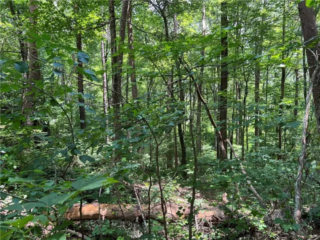 a backyard of a house with lots of trees
