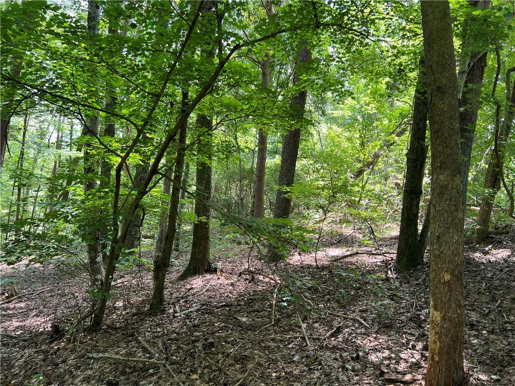 0 Lavender Trail Rome, GA 30165 - Photo 10 of 42 a big yard with lots of green space and trees