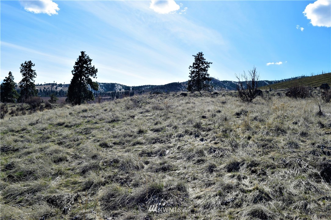 1 South Lakeshore Road Chelan, WA 98816 - Photo 11 of 25 Gallery Image 11