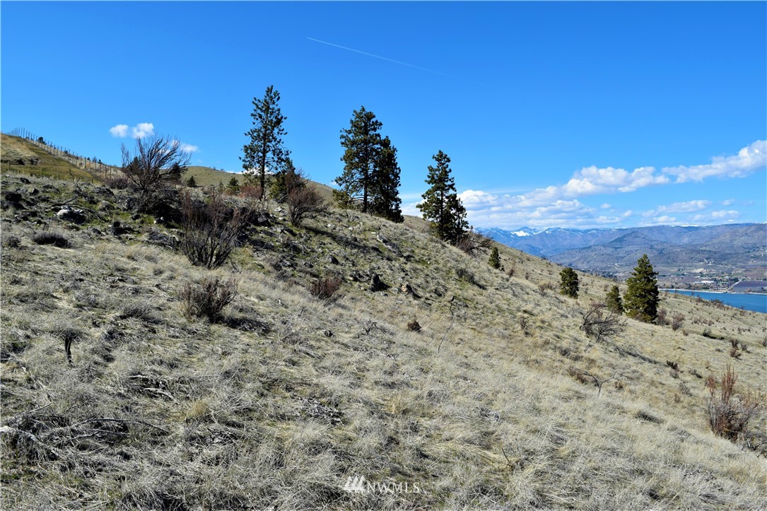 1 South Lakeshore Road Chelan, WA 98816 - Photo 20 of 25 Gallery Image 20