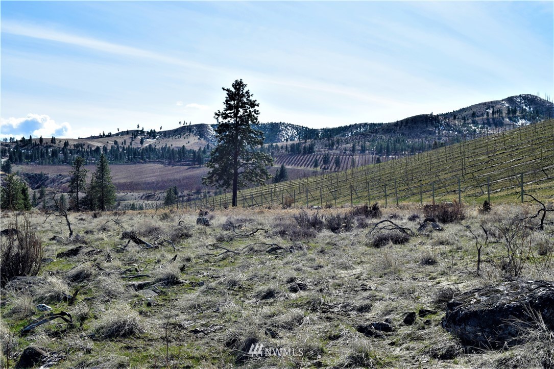 1 South Lakeshore Road Chelan, WA 98816 - Photo 9 of 25 Gallery Image 9