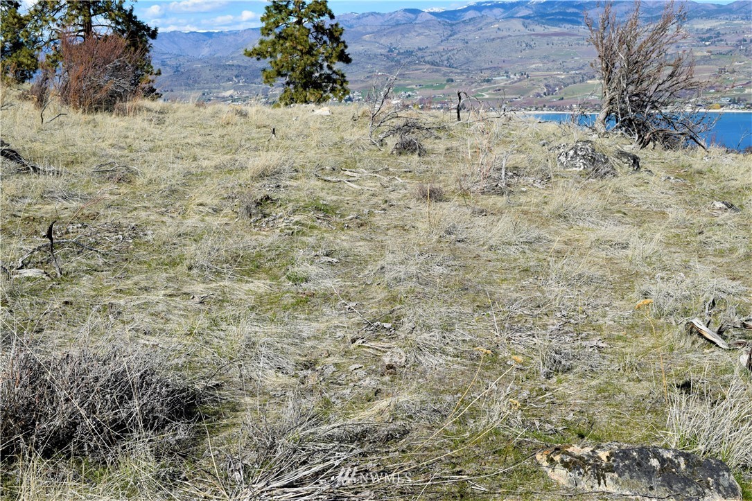 1 South Lakeshore Road Chelan, WA 98816 - Photo 10 of 25 Gallery Image 10