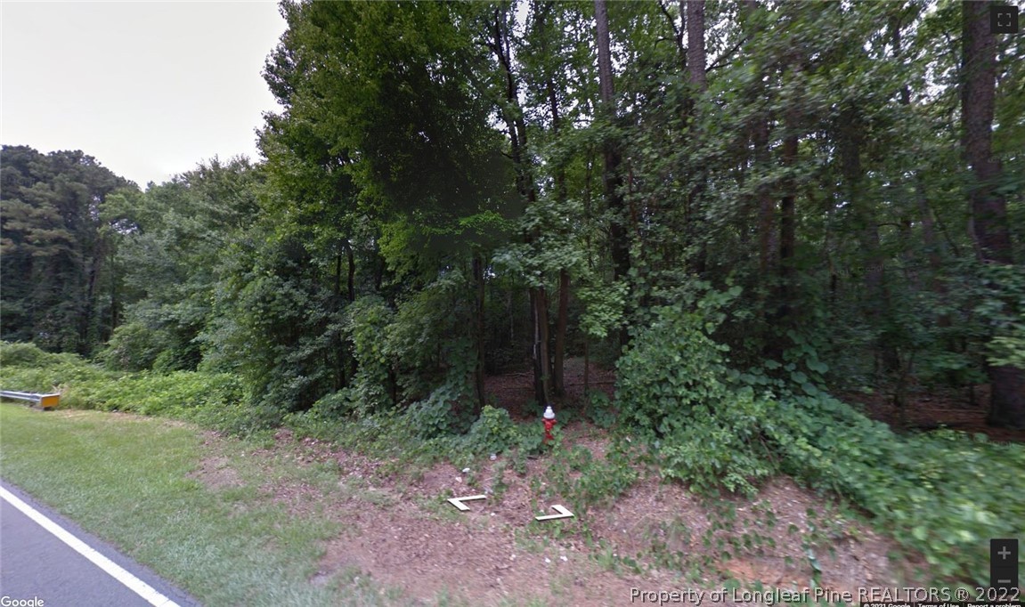 0 Lemon Springs Road Sanford, NC 27332 - Photo 1 of 4 Gallery Image 1