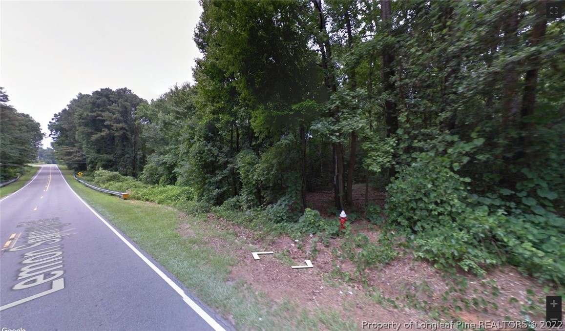 0 Lemon Springs Road Sanford, NC 27332 - Photo 2 of 4 Gallery Image 2