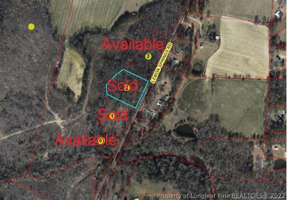 0 Lemon Springs Road Sanford, NC 27332 - Photo 3 of 4 Gallery Image 3