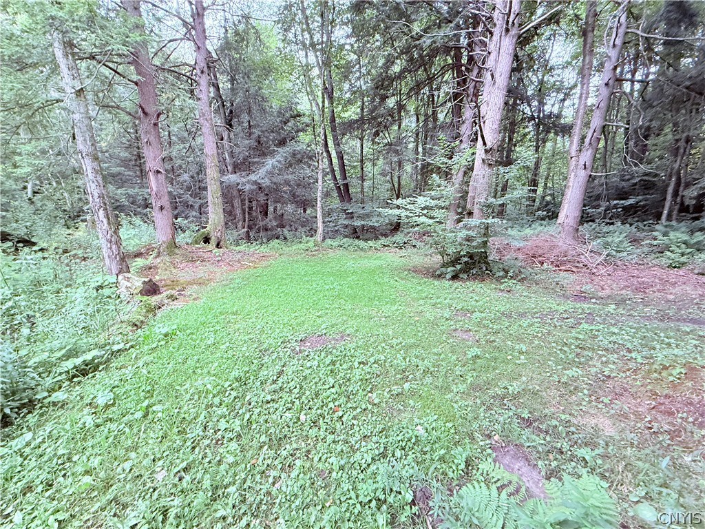 184 County Rte 13 Boylston, NY 13083 - Photo 9 of 23 Gallery Image 9