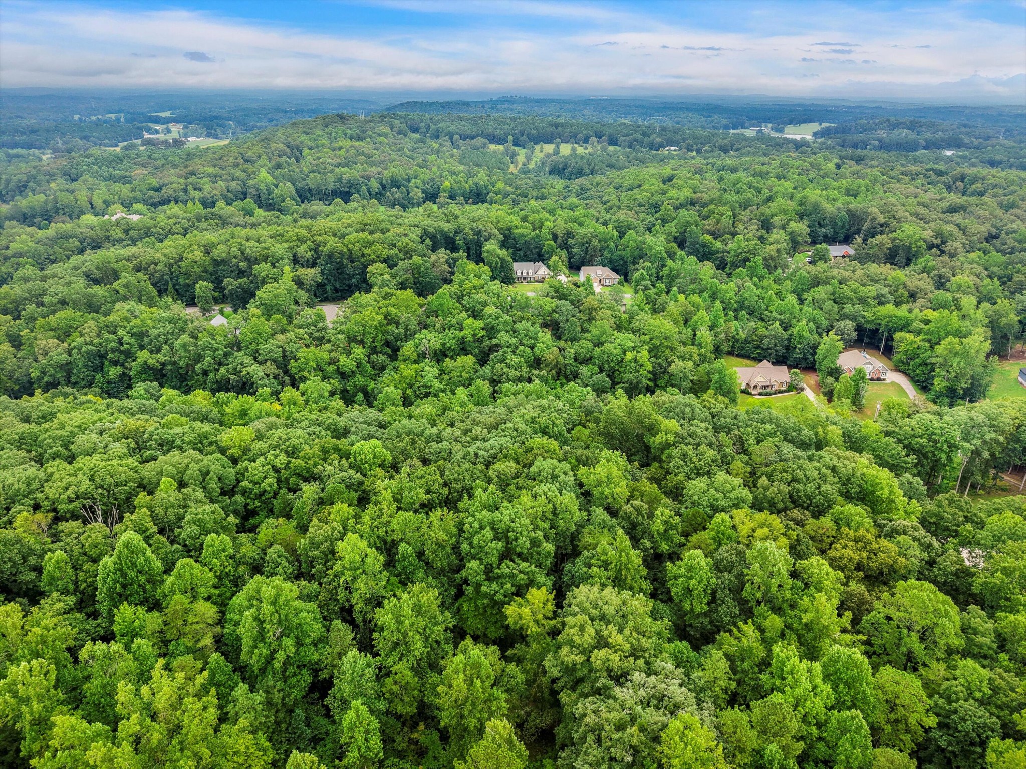 3093 Hidden Lake Road Dalton, GA 30721 - Photo 12 of 14 Gallery Image 12
