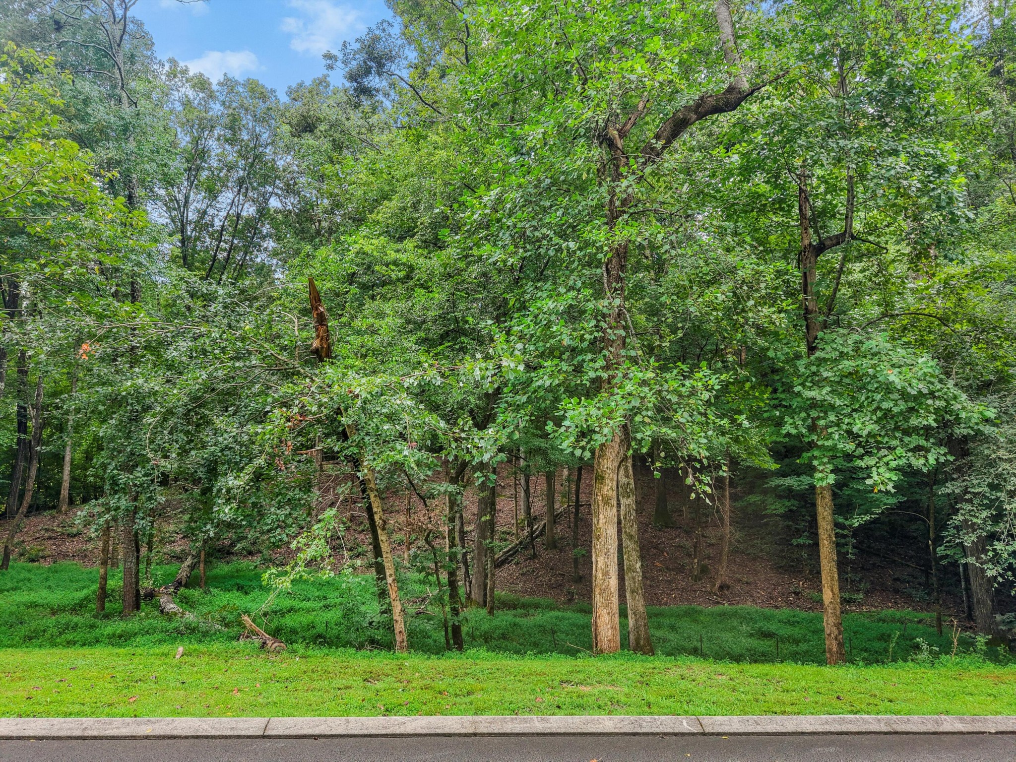 3093 Hidden Lake Road Dalton, GA 30721 - Photo 3 of 14 Gallery Image 3