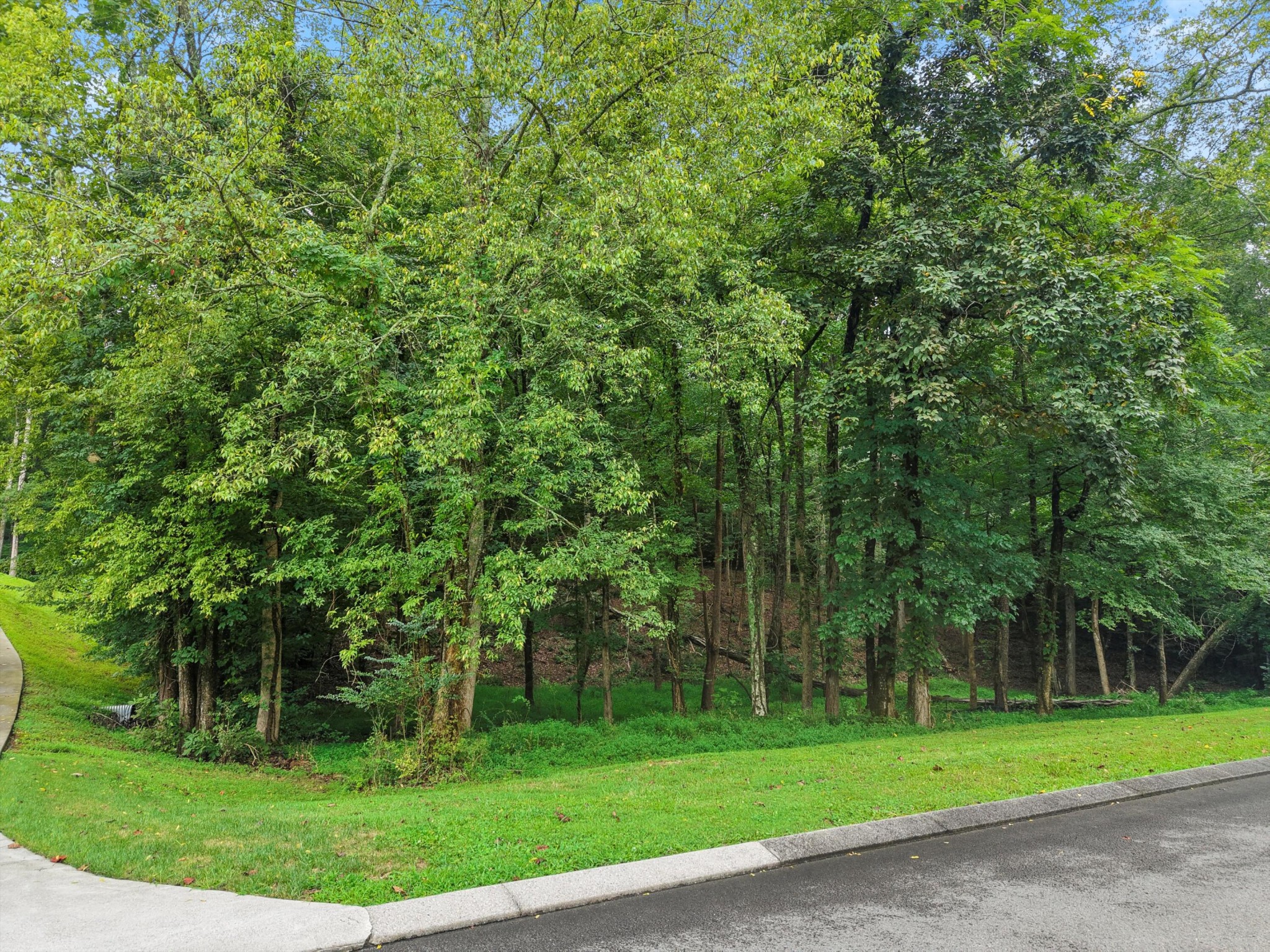 3093 Hidden Lake Road Dalton, GA 30721 - Photo 4 of 14 Gallery Image 4