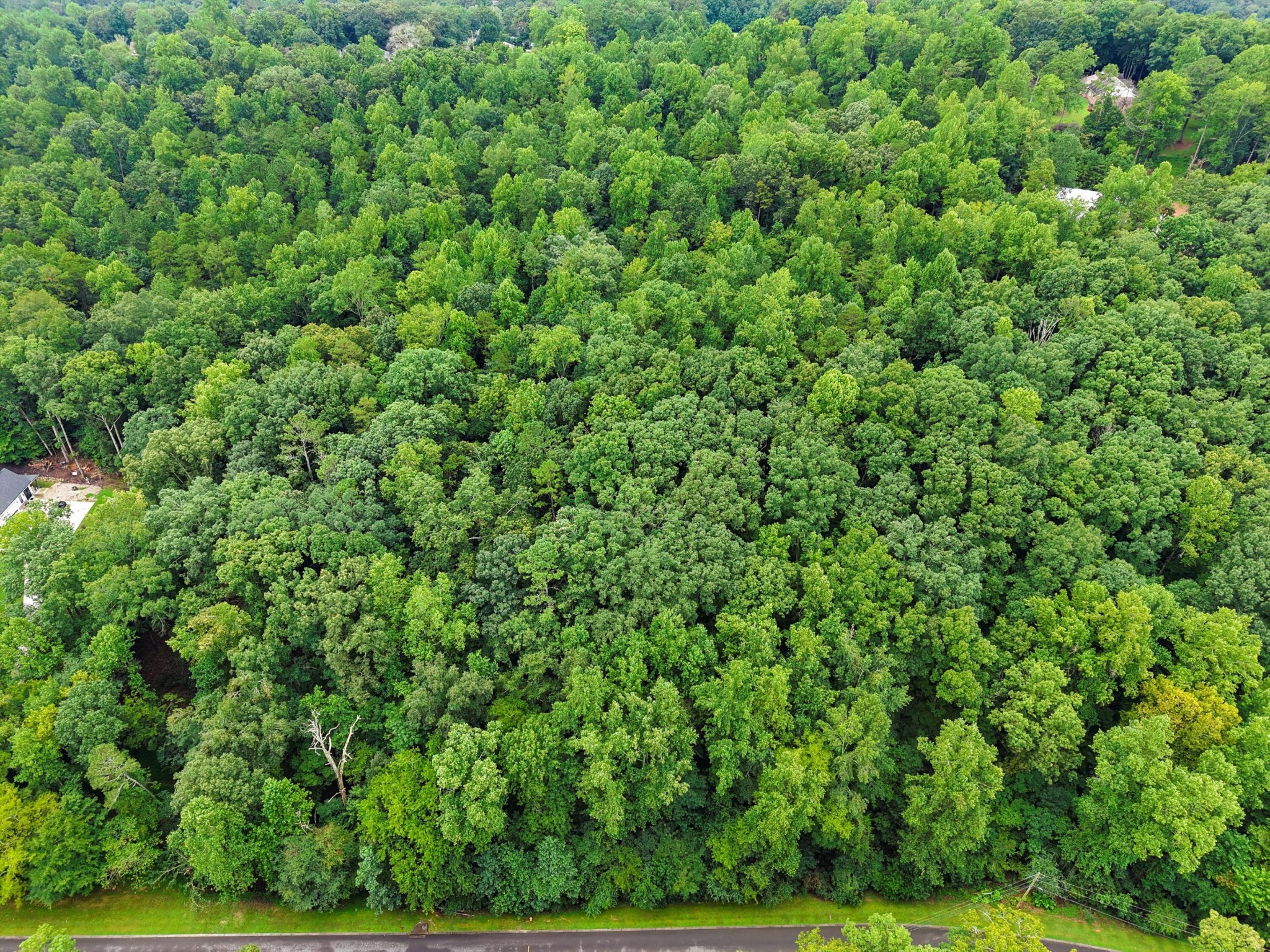3093 Hidden Lake Road Dalton, GA 30721 - Photo 7 of 14 Gallery Image 7