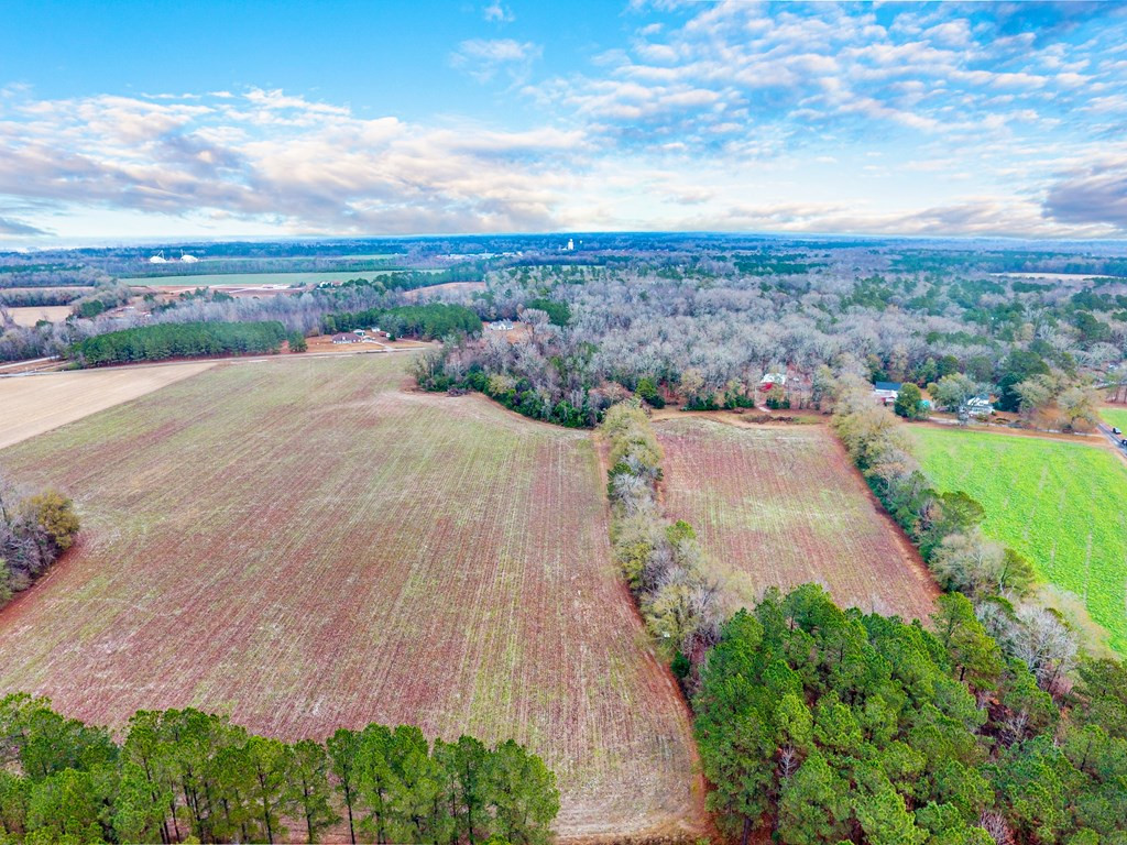 1348 Gin Bay Road Cameron, SC 29030 - Photo 6 of 59 Photo 6