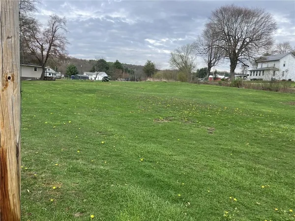 a view of grassy field with trees