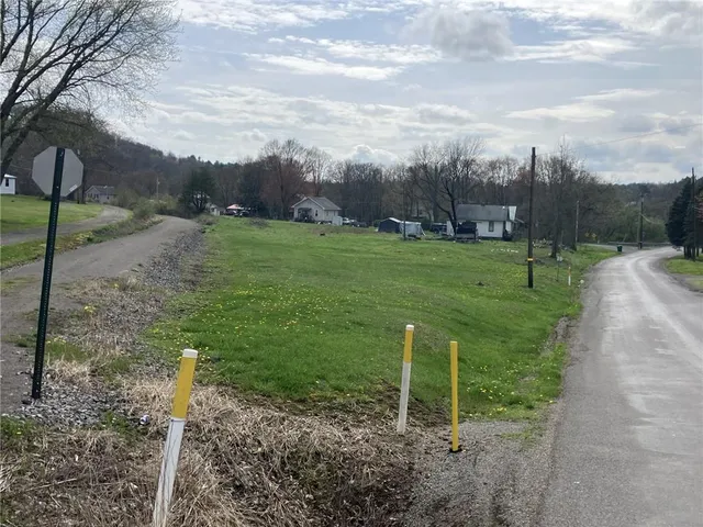 a view of a park with large trees