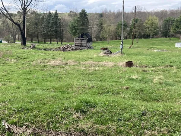 a view of a garden with a slide