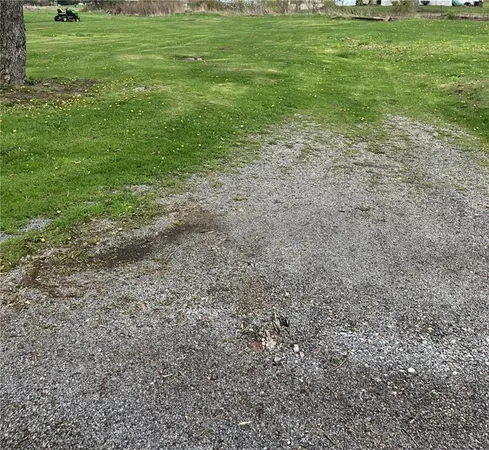 a view of a field with grass and trees
