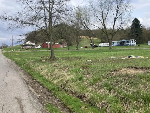 a view of park with tree s
