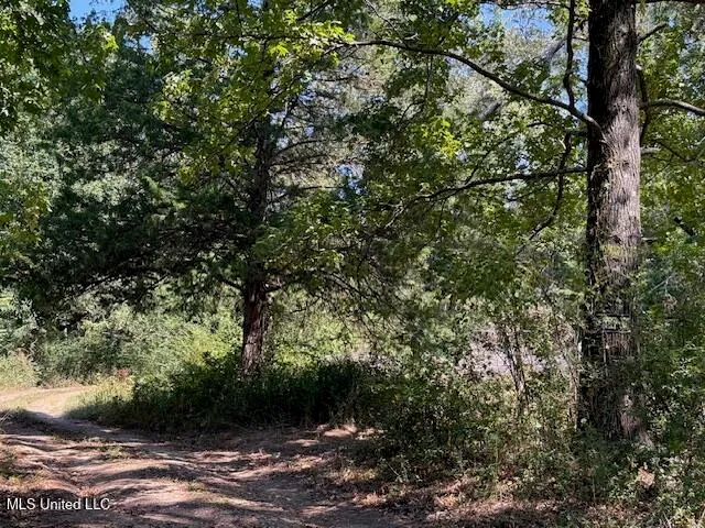 $158,000 | 1620 Gwynn Road, Nesbit, MS 38651