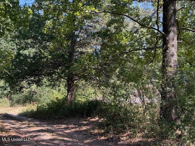 1620 Gwynn Road Nesbit, MS 38651 - Photo 3 of 8 IMG_2209