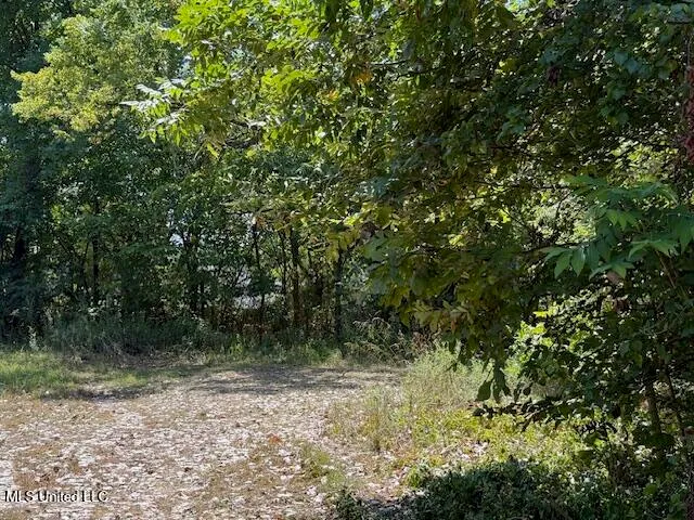 $158,000 | 1620 Gwynn Road, Nesbit, MS 38651