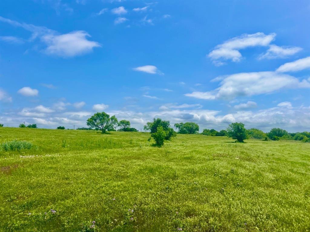 Lot 4 Clare Road Poolville, TX 76487 - Photo 2 of 4 View of local wilderness featuring a rural view