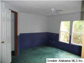 245 Wet Cat Road Hayden, AL 35079 - Photo 7 of 13