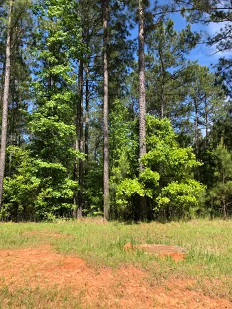 $34,900 | Lot 3 Lighthouse Pointe, Lincolnton, GA 30817
