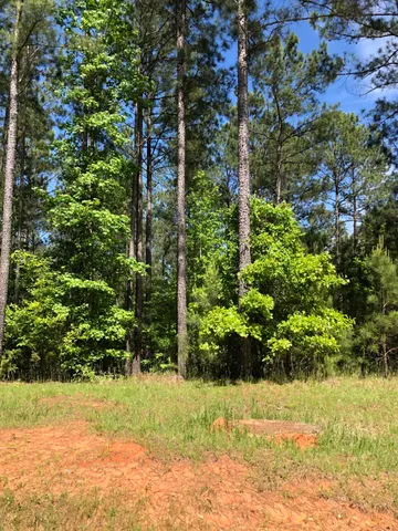 $34,900 | Lot 3 Lighthouse Pointe, Lincolnton, GA 30817