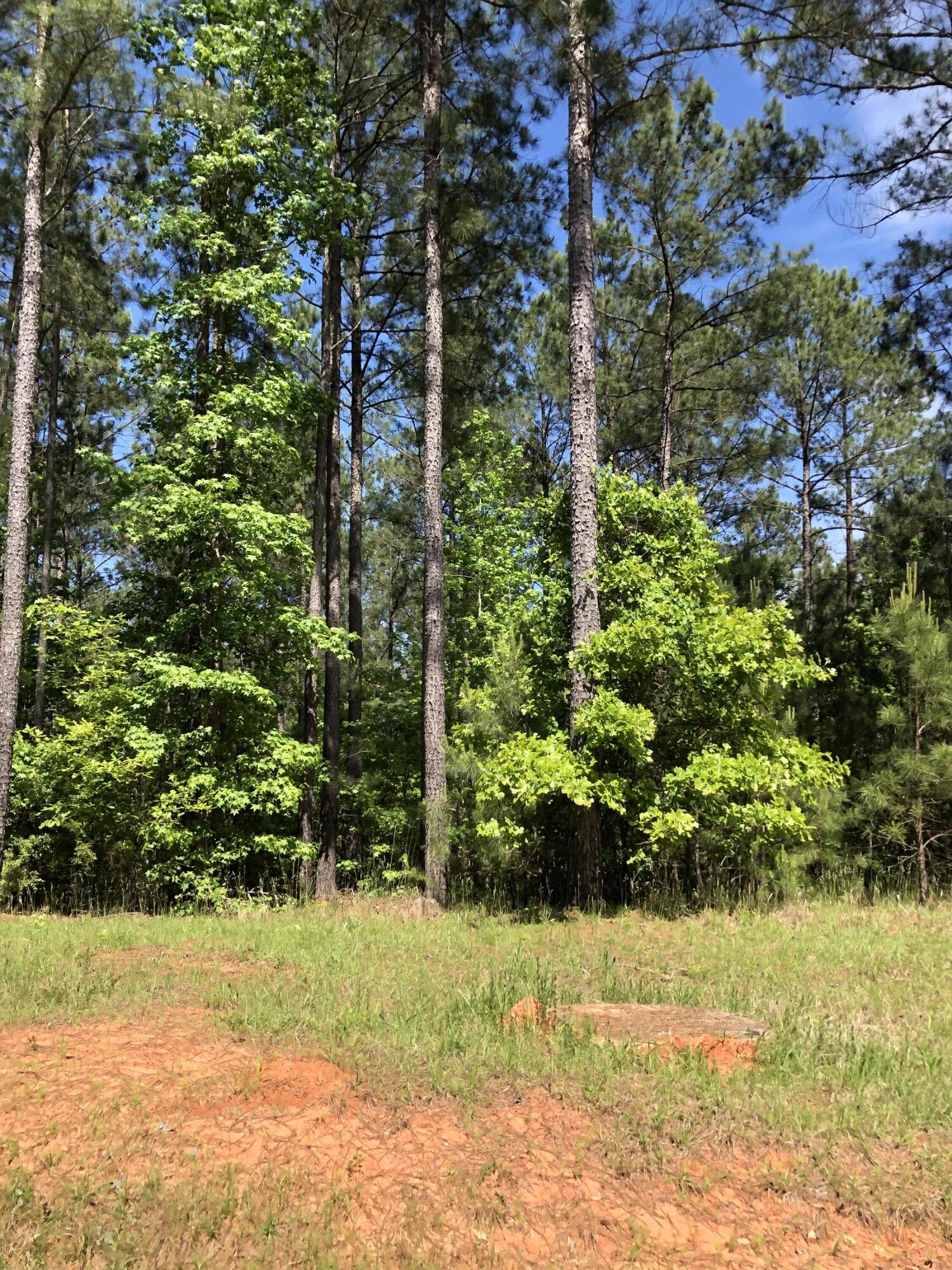 Lot 3 Lighthouse Pointe Lincolnton, GA 30817 - Photo 1 of 5 Lot 3