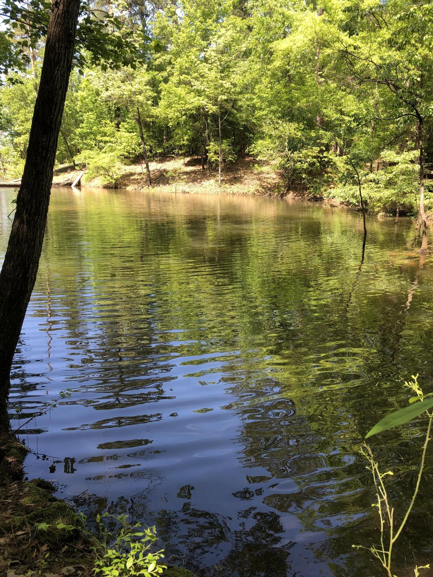 Lot 3 Lighthouse Pointe Lincolnton, GA 30817 - Photo 2 of 5 Lot 3-1