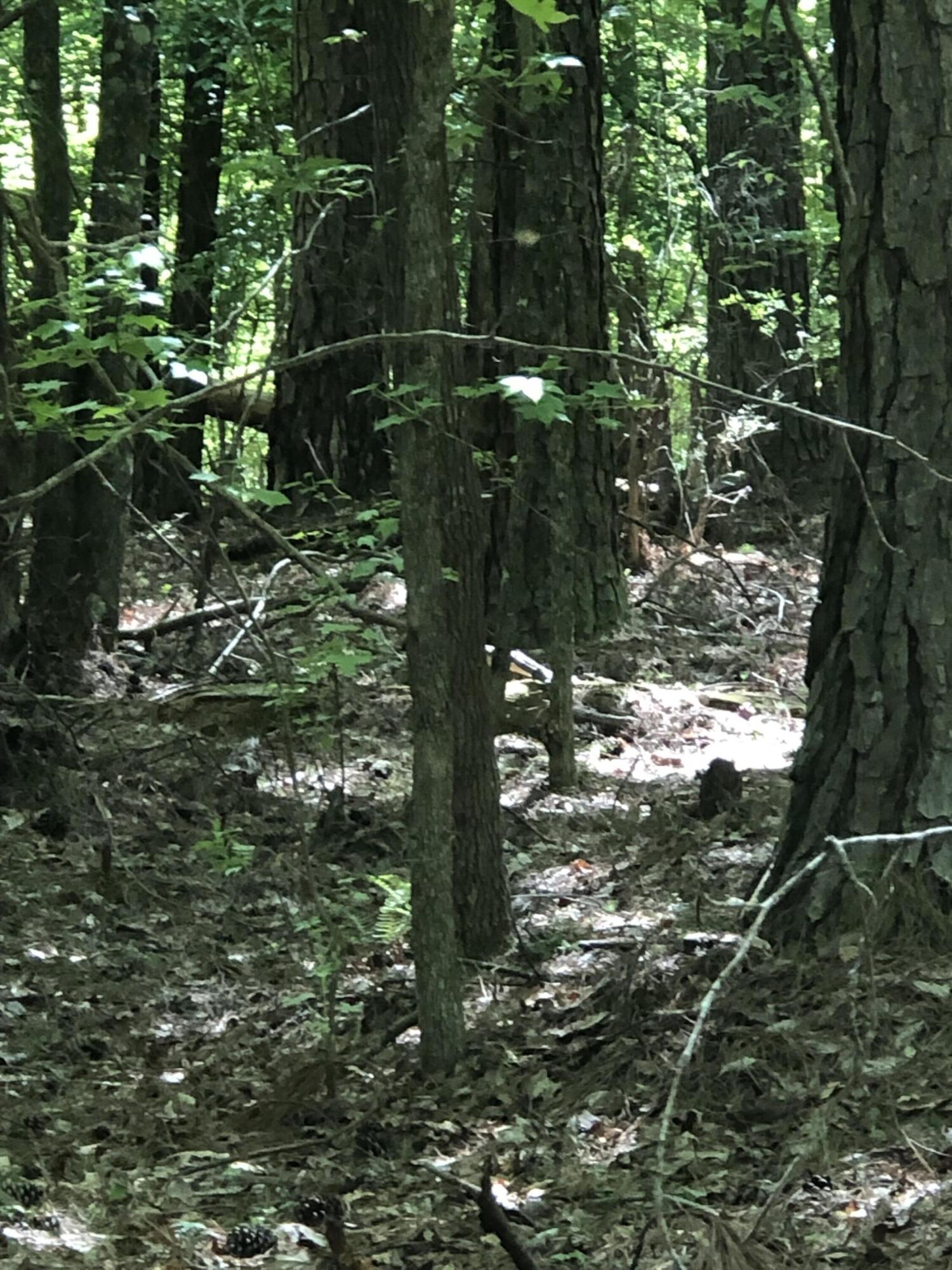 Lot 3 Lighthouse Pointe Lincolnton, GA 30817 - Photo 4 of 5 Lot 3-3