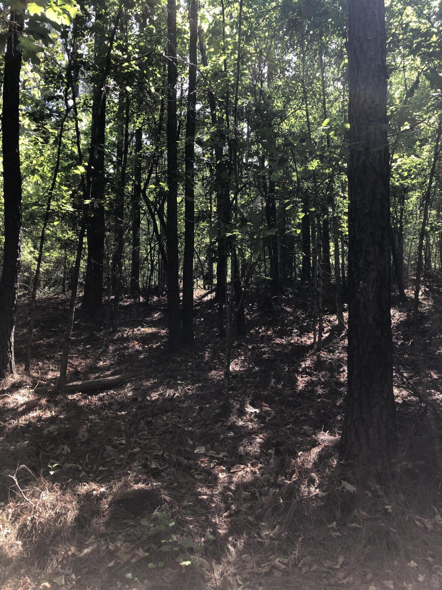 Lot 3 Lighthouse Pointe Lincolnton, GA 30817 - Photo 5 of 5 Lot 3 4