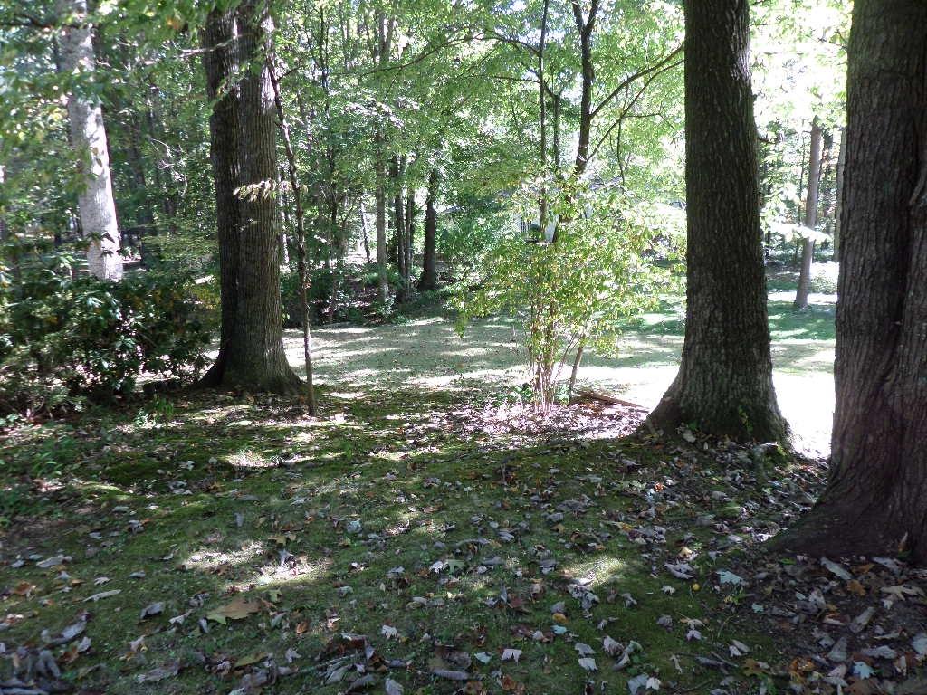15 Windhaven Lane Oak Ridge, TN 37830 - Photo 29 of 29 SAM_0345