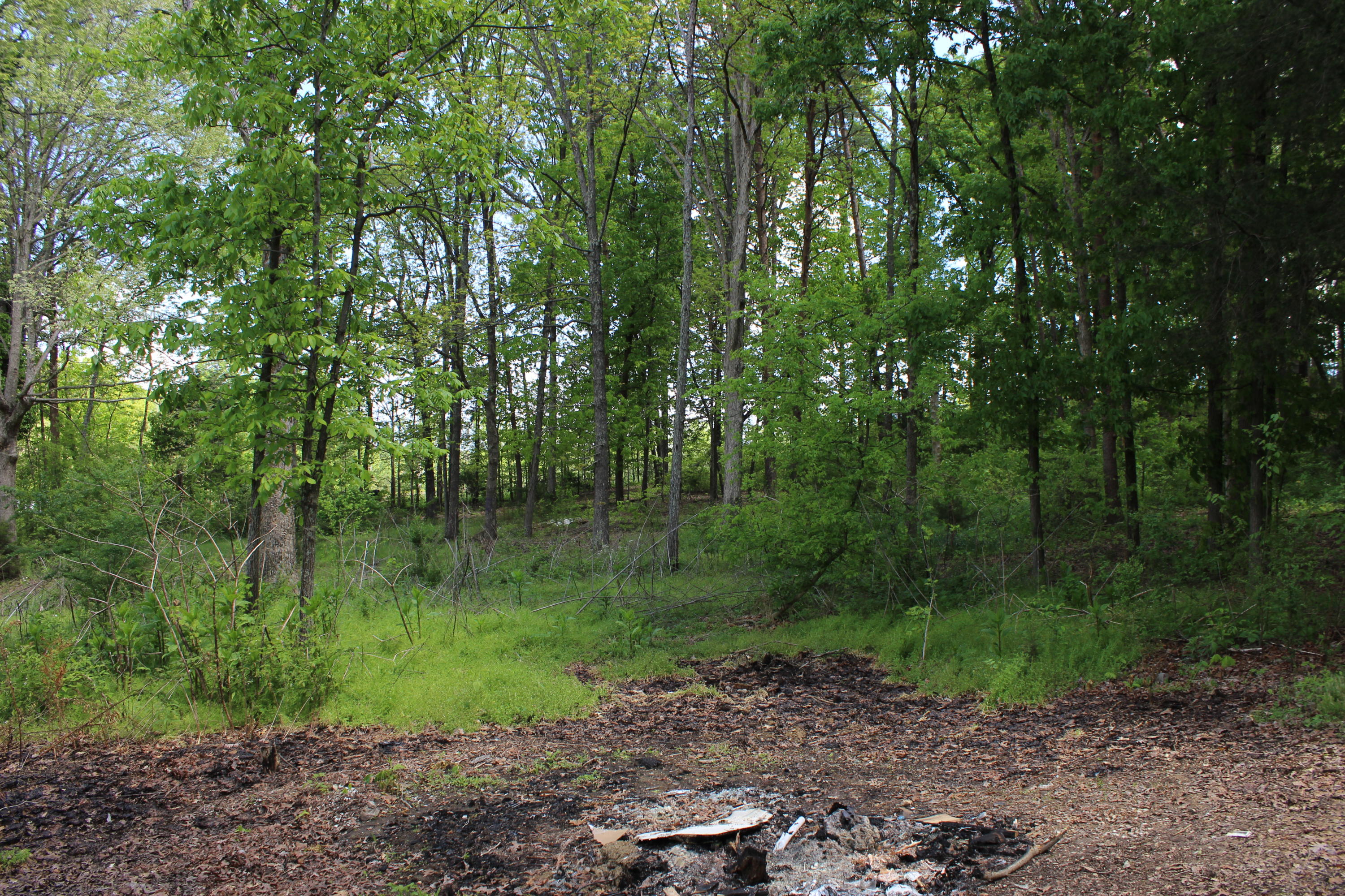 170 Gibson Road Madisonville, TN 37354 - Photo 11 of 36 IMG_8884