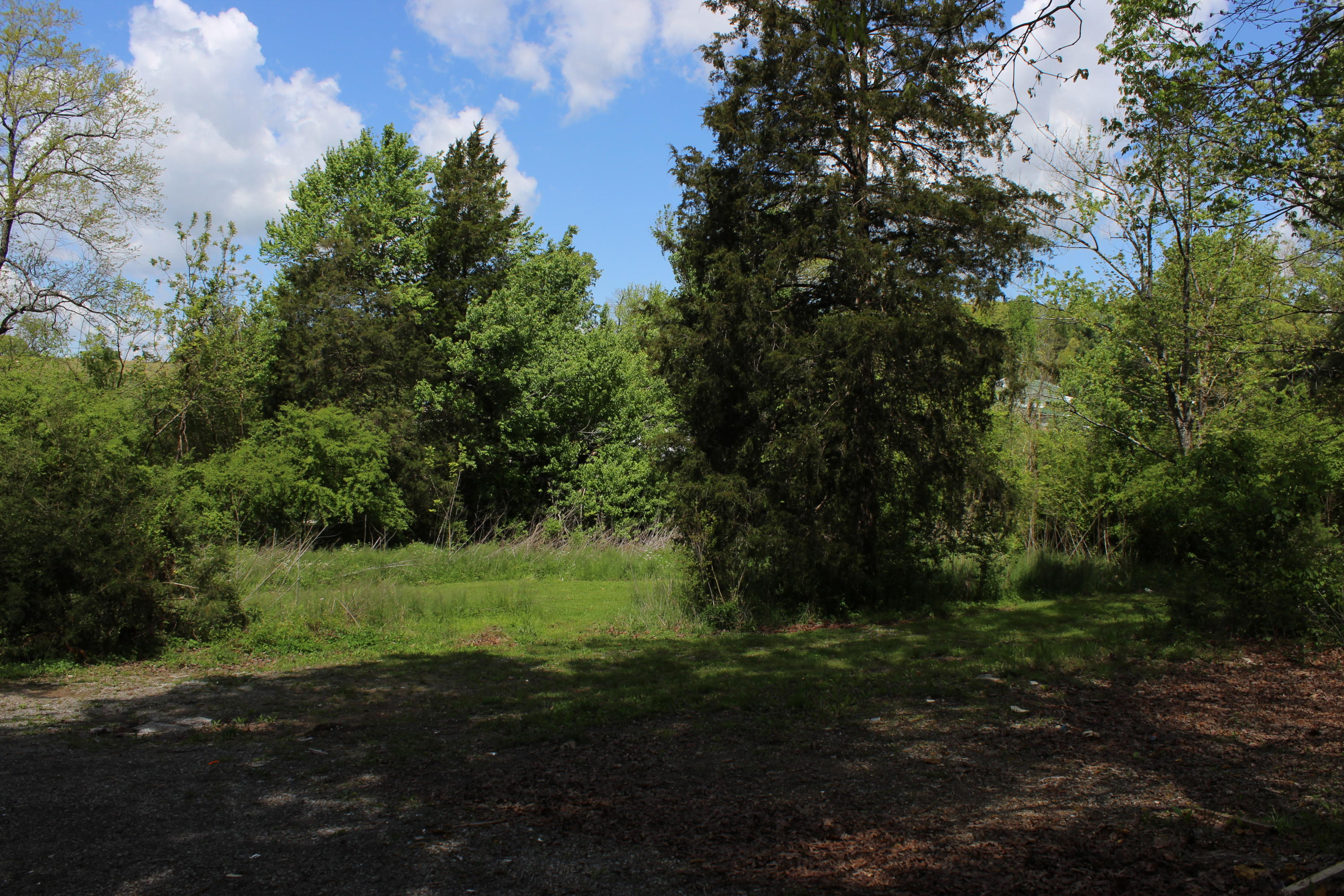 170 Gibson Road Madisonville, TN 37354 - Photo 12 of 36 IMG_8885