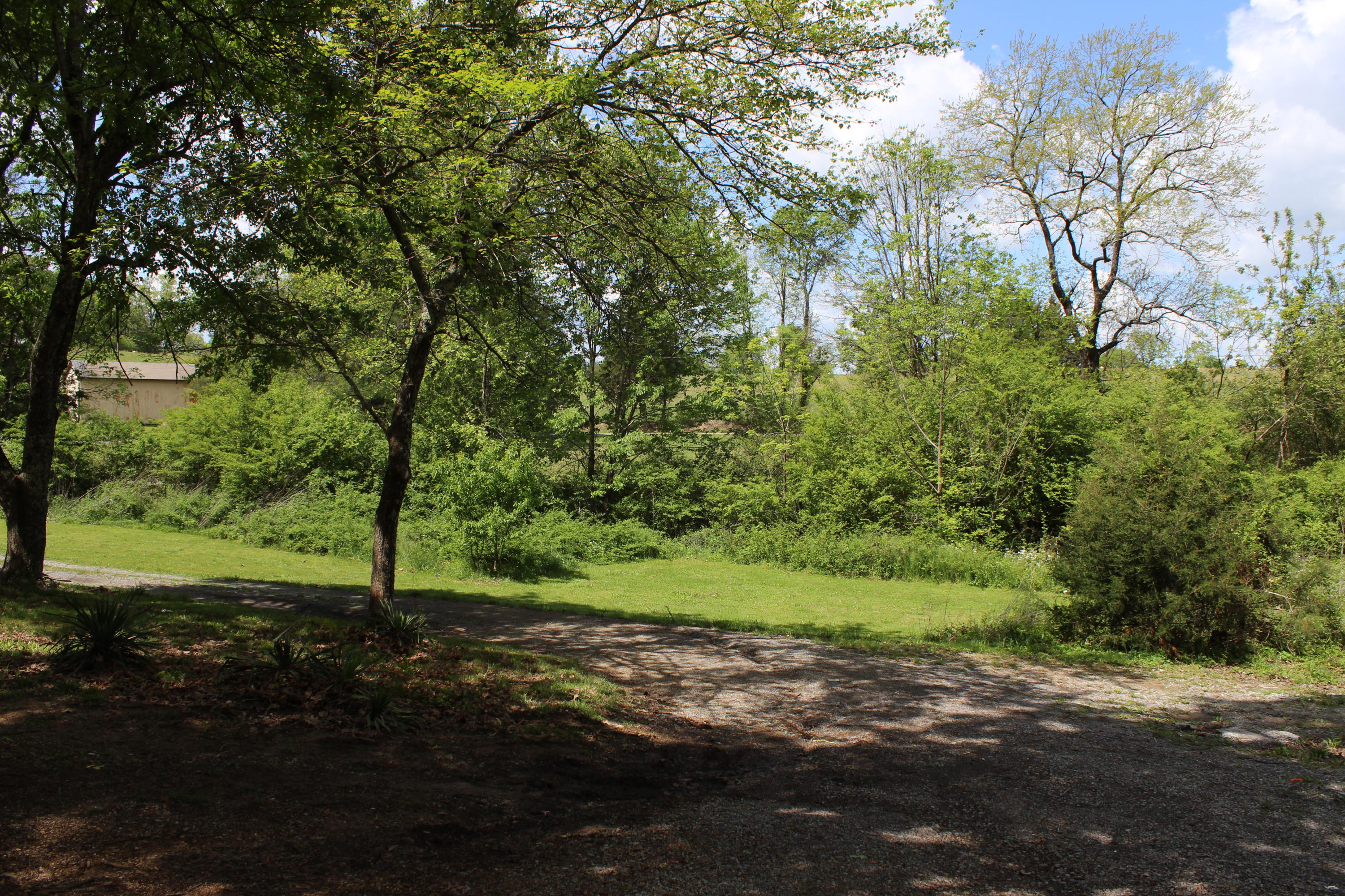 170 Gibson Road Madisonville, TN 37354 - Photo 13 of 36 IMG_8886