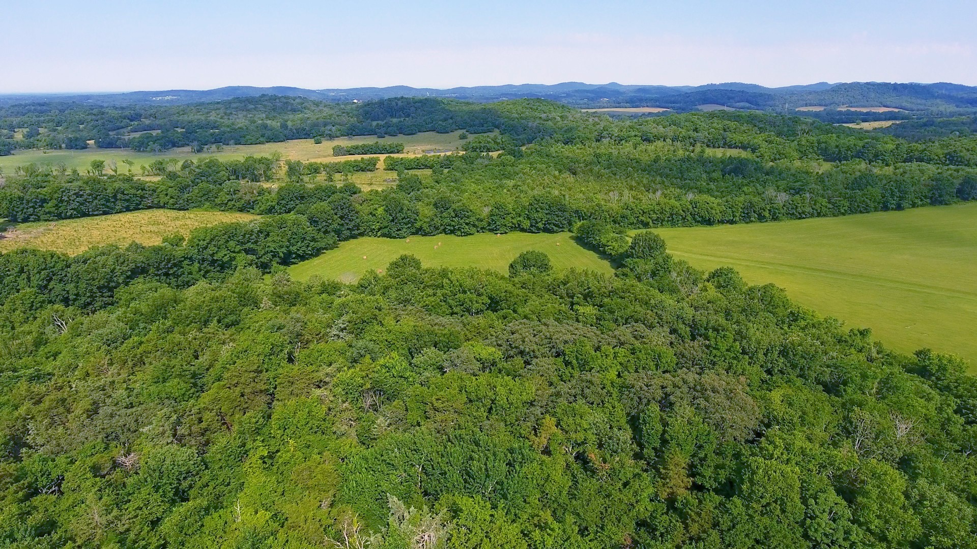 358 Dye Road Bell Buckle, TN 37020 - Photo 43 of 49 Gallery Image 43