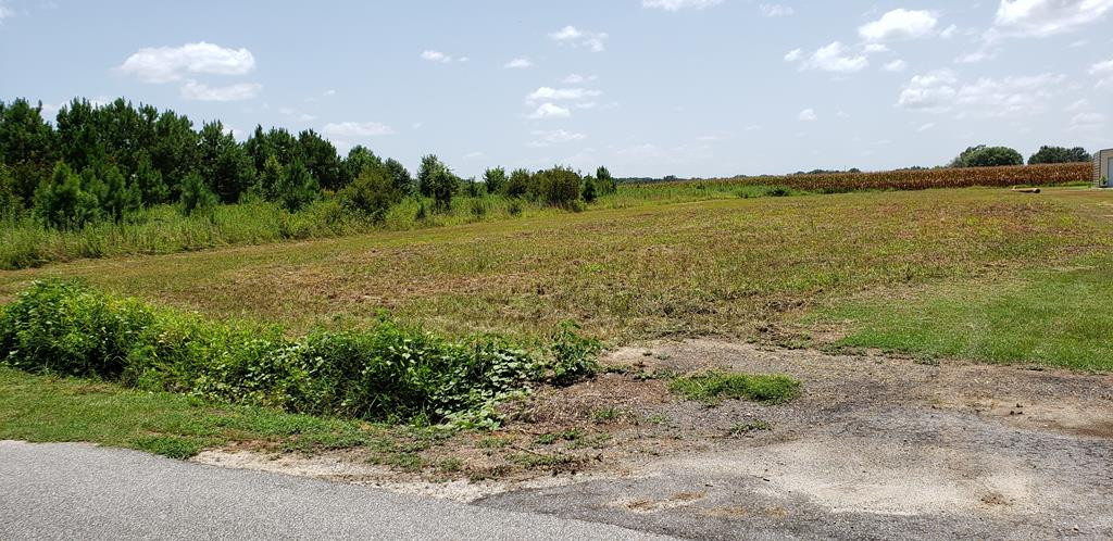 Tbd Ralph Bell Road Summerton, SC 29148 - Photo 5 of 6 Gallery Image 5