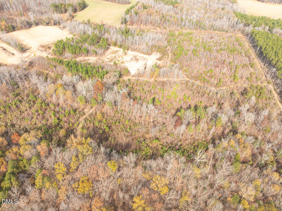 0 Mann Oakley Road Rougemont, NC 27572 - Photo 12 of 55 11