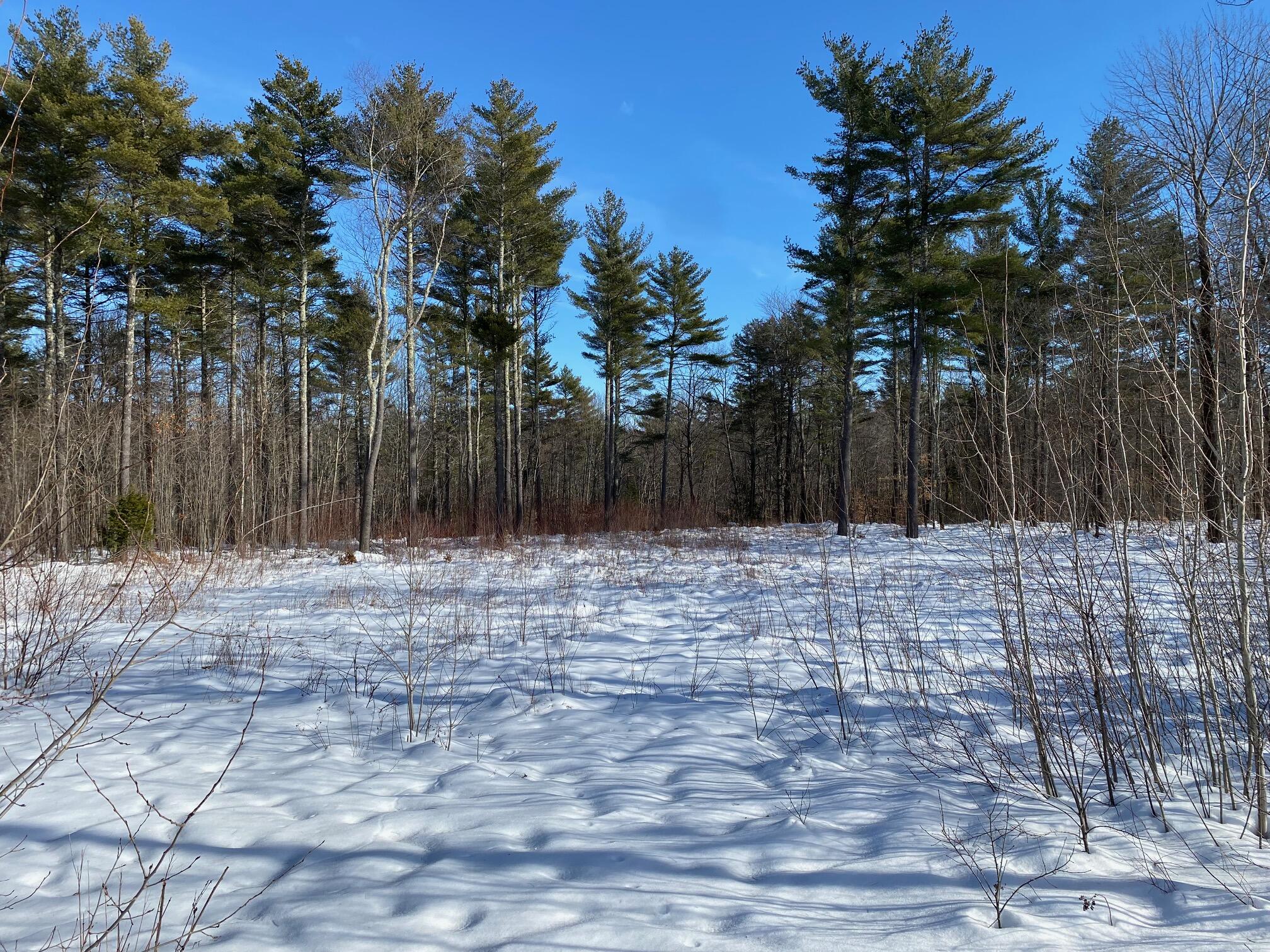 26-acres Portland Road Gray, ME 04039 - Photo 2 of 8 IMG_7007